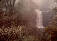 Minnehaha Falls in June Snow