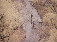 Two Boys in Minnehaha Creek